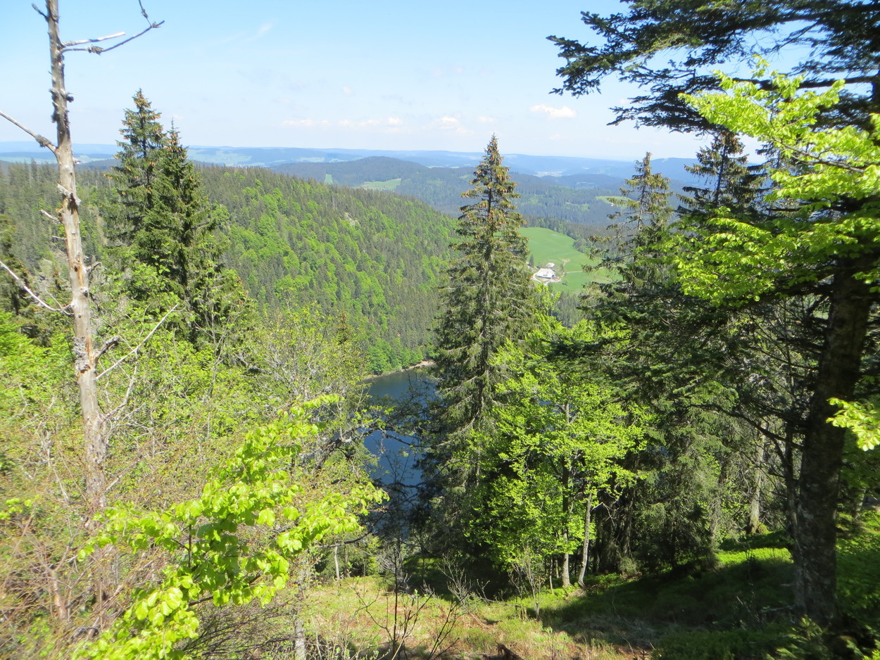 Mietwohnungen In Telfs Innsbruckland Immobilienscout24 At