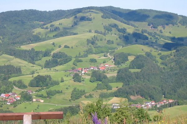 Ruhebank mit Blick auf Fr�hnd