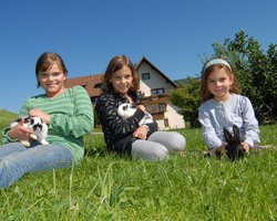 Jockenhof St. Peter (St. Peter) Jockenhof St. Peter (St. Peter)