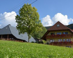 Wehrlebauernhof (Oberried) Wehrlebauernhof (Oberried)