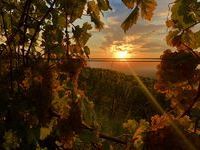 Sonnenuntergang &uuml;ber Auggen