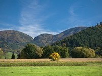  (Bildnachweis: Mit freundlicher Genehmigung der Ferienregion M�nstertal Staufen)
